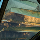 Illustration for article titled This Photosynthetic Algae Roof Filters the Neighborhood Air
